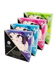 Présentoire cristaux de sel de la mer morte - 24 unités