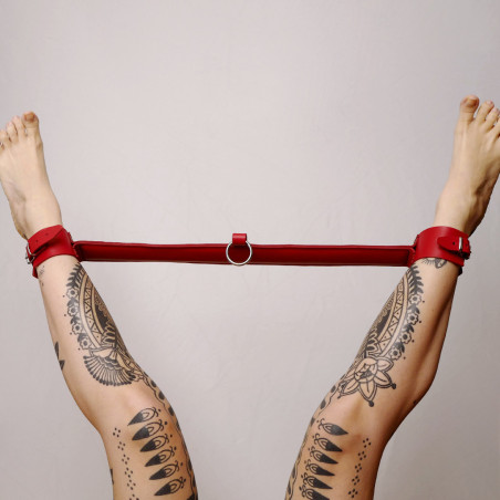 Barre de contrainte cuir et anneau Rouge