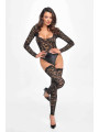 F296 Body Psyche en dentelle et wetlook