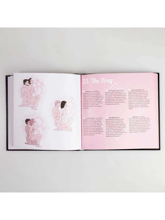 Kamasutra livre des positions - Secret play